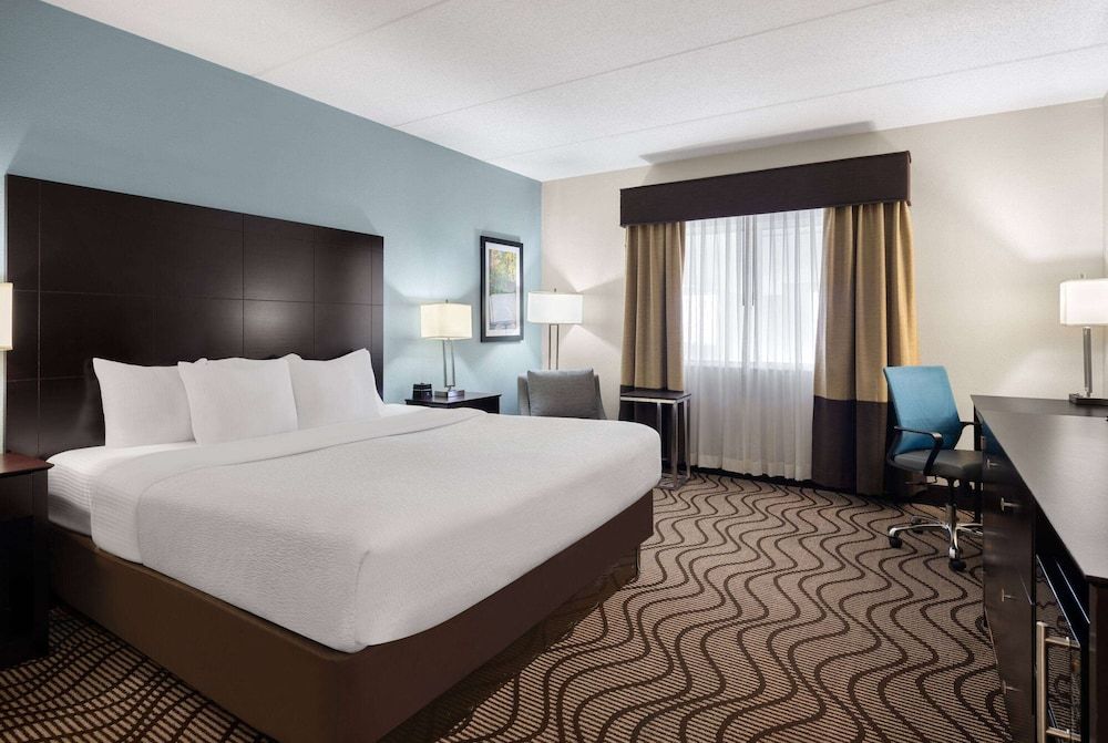 Room, 1 King Bed, Non Smoking (Pet-Friendly)