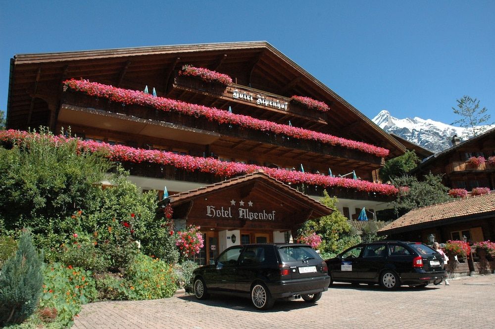 undefined Hotel Alpenhof 3