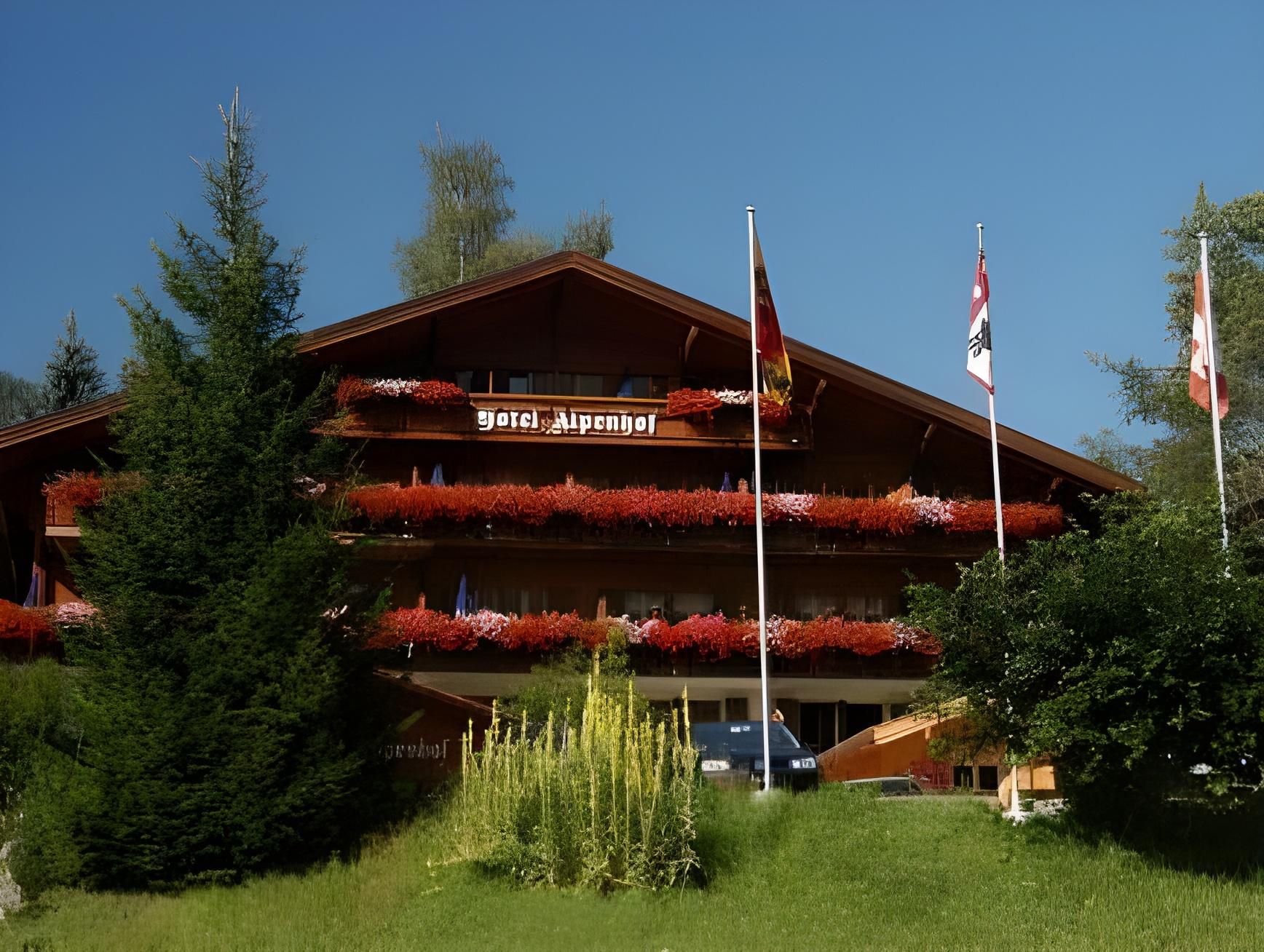 undefined Hotel Alpenhof 6