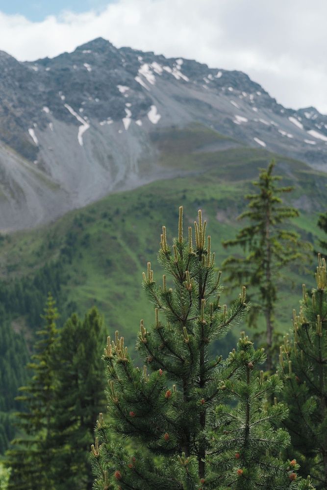 Valsana Hotel & Appartements Arosa Loft Junior Suite with Balcony 2