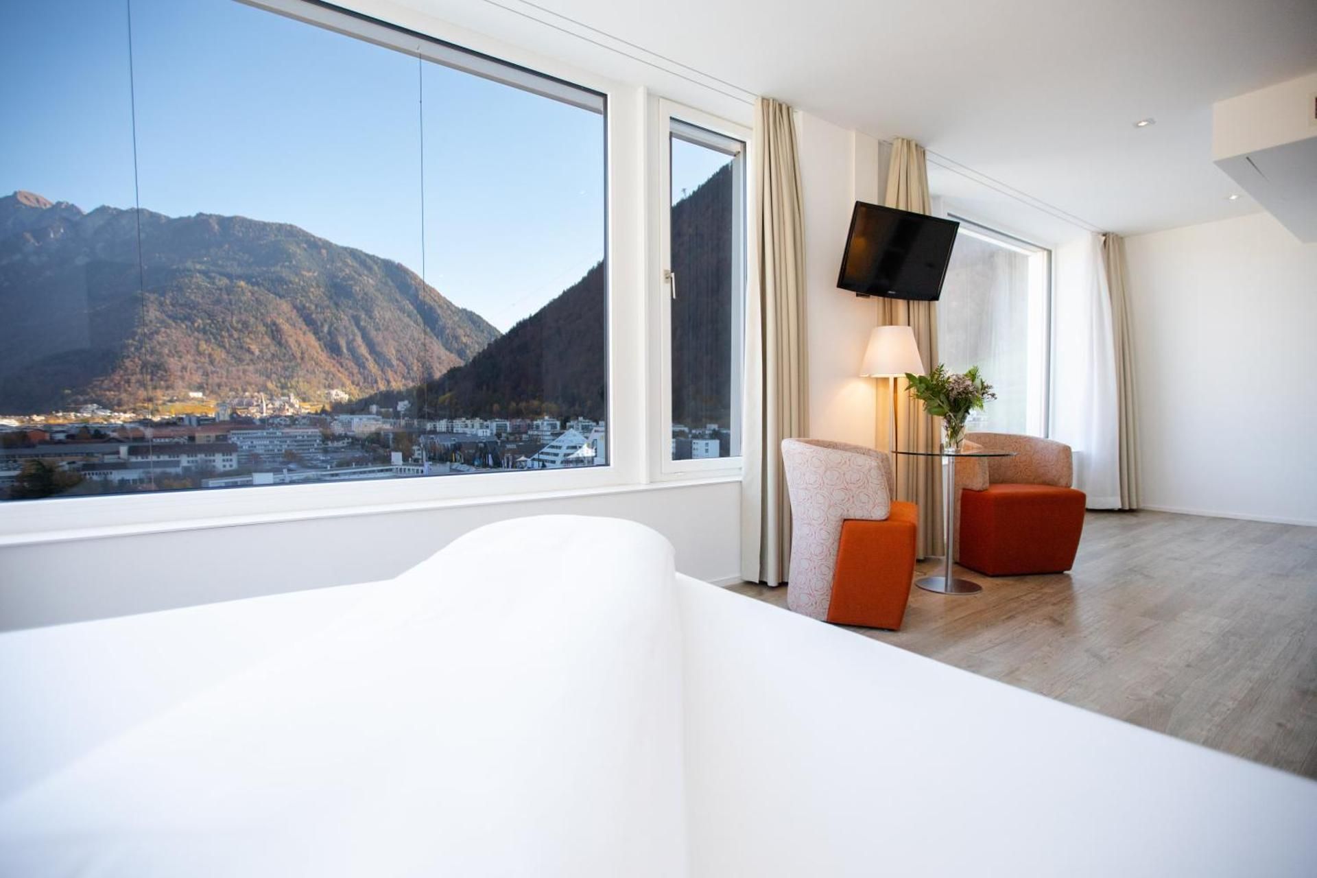 Deluxe Room With 1 Double Bed, Mountain View