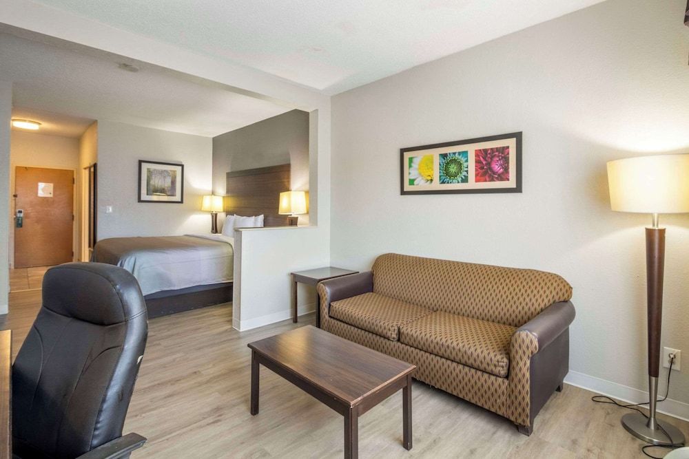 Suite, 1 King Bed, Smoking (Efficiency)