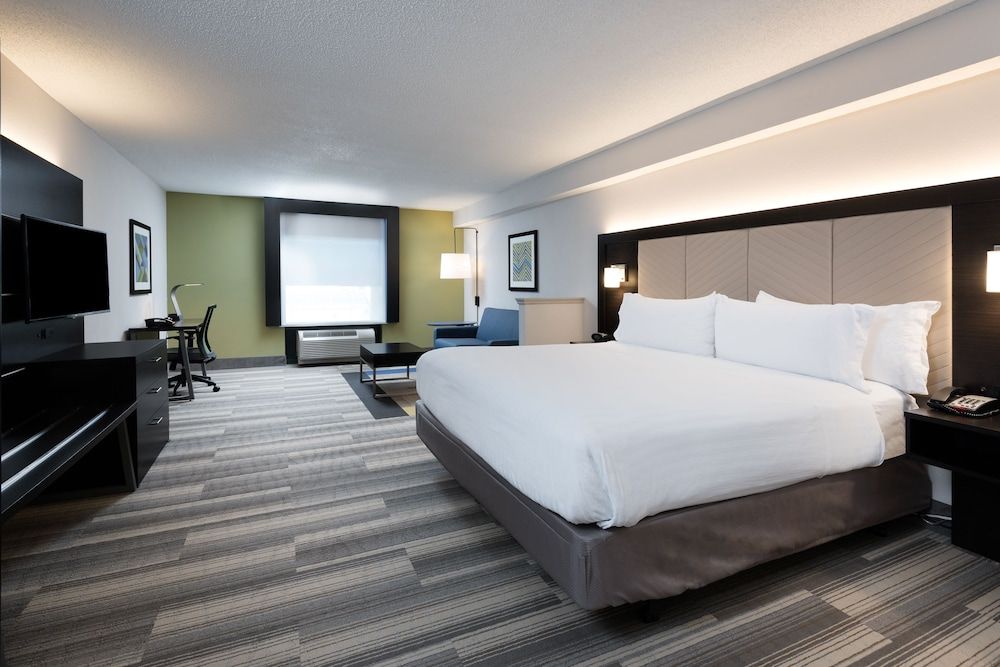 Suite, 1 King Bed with Sofa bed