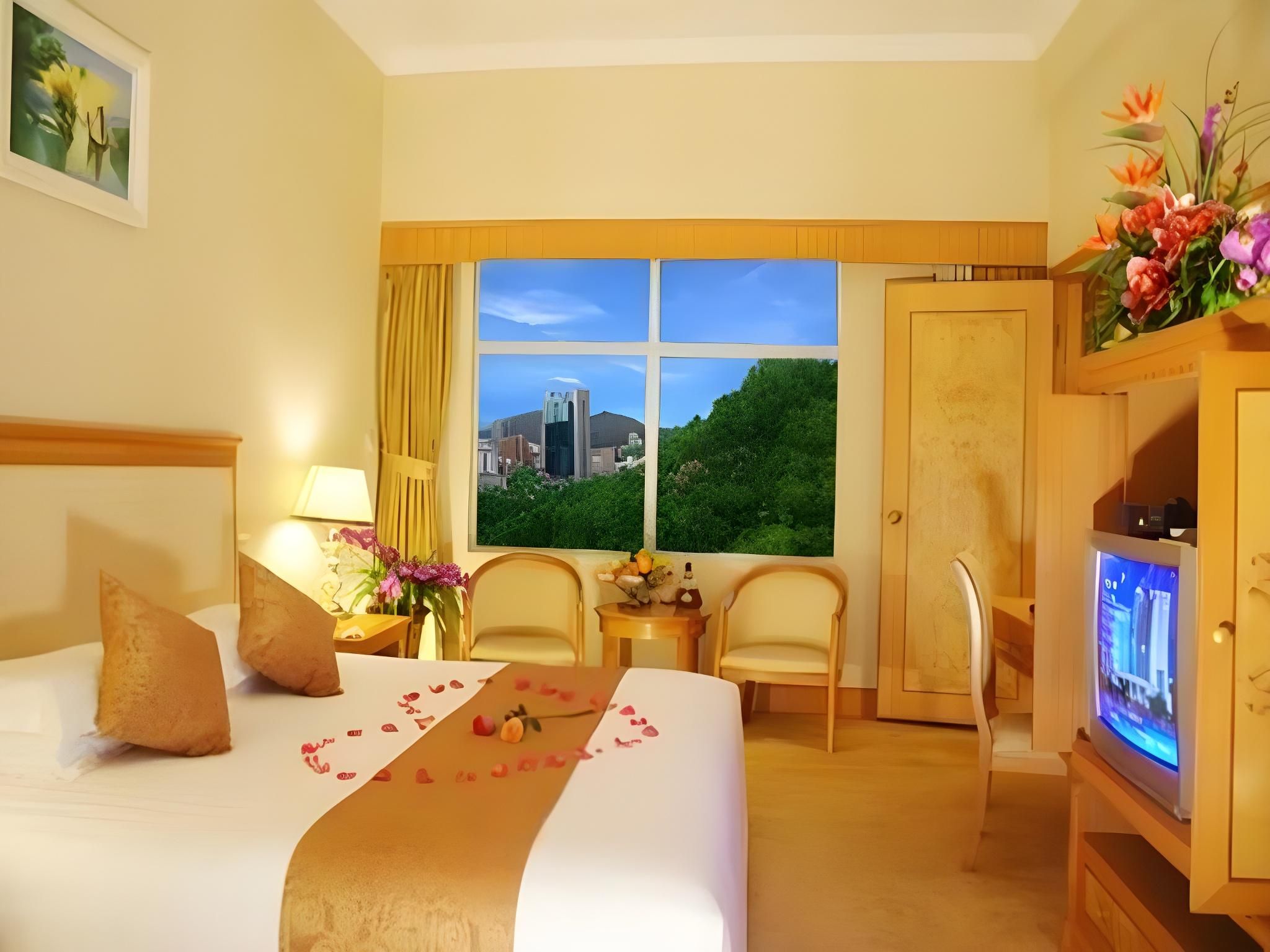 Deluxe Mountain View King Bed