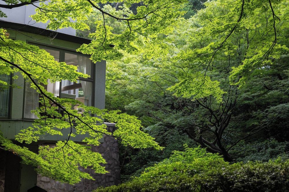 undefined Sheraton Miyako Hotel Tokyo 4