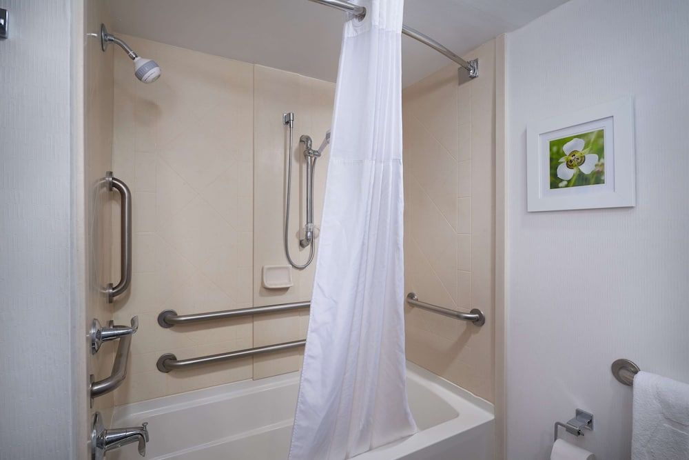 Room, 1 King Bed, Accessible, Non Smoking