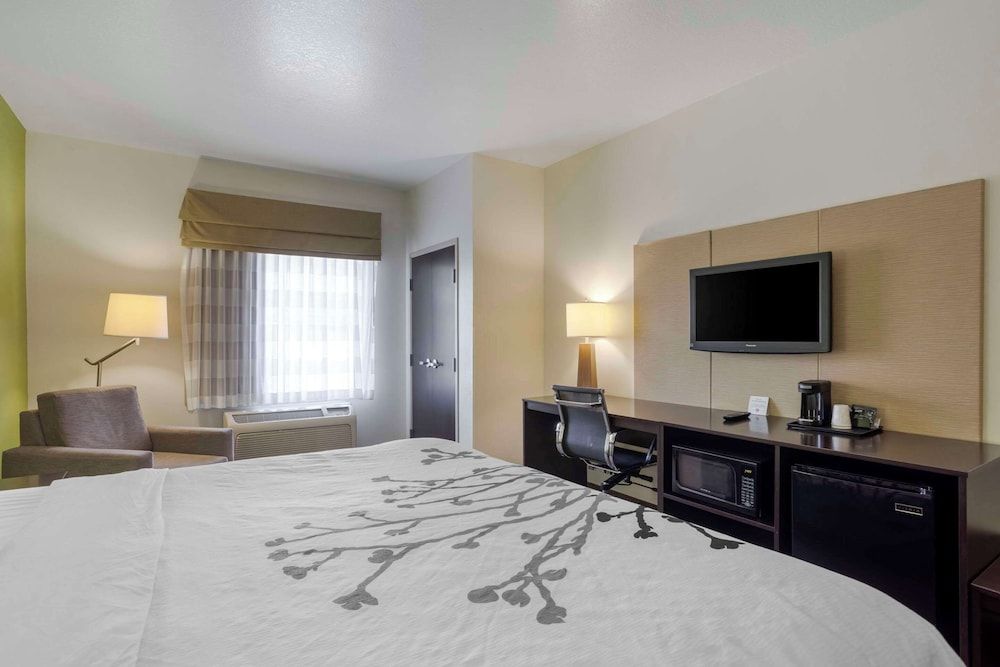 Standard Room, 1 King Bed, Non Smoking