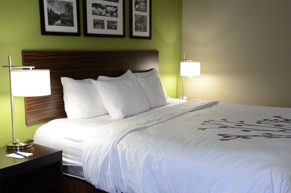 Standard Room, 1 King Bed, Non Smoking