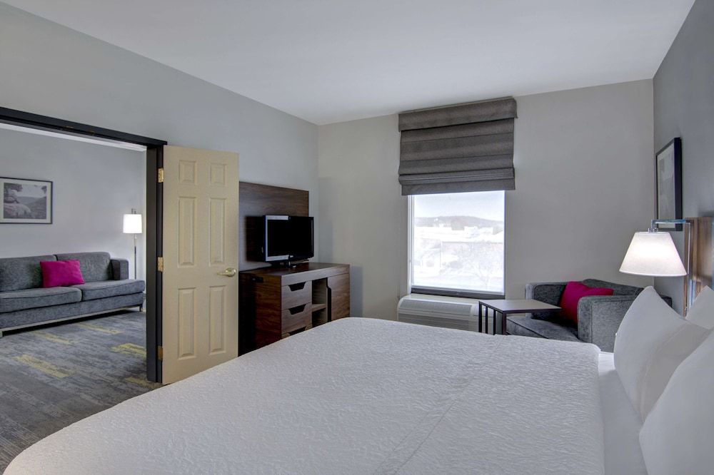 Suite, 1 King Bed with Sofa bed