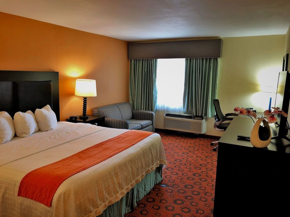 Room, 1 King Bed, Non Smoking