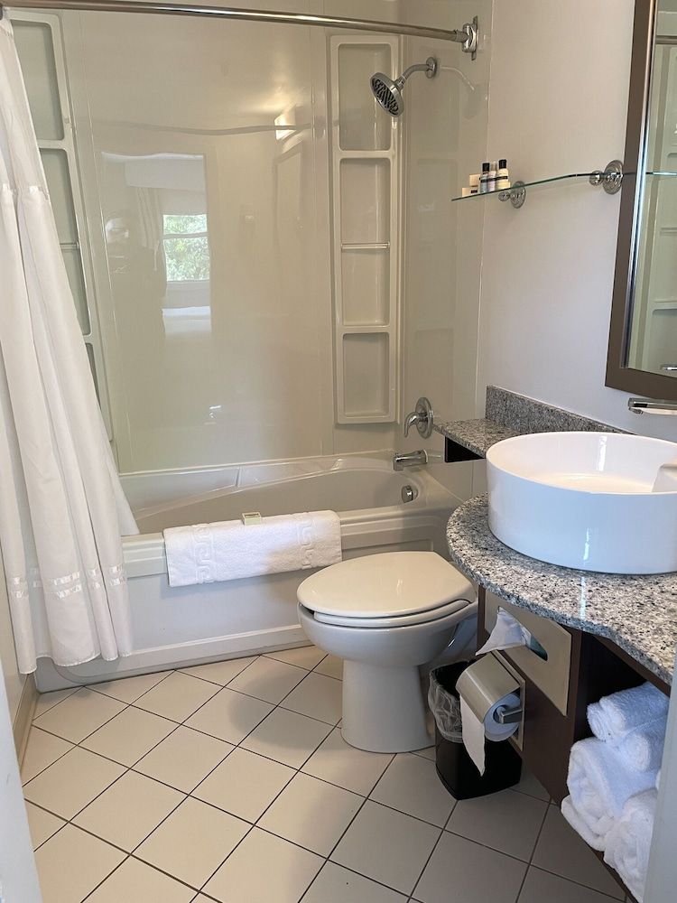 Rodd Moncton Hotel Standard Room, 1 King Bed 5