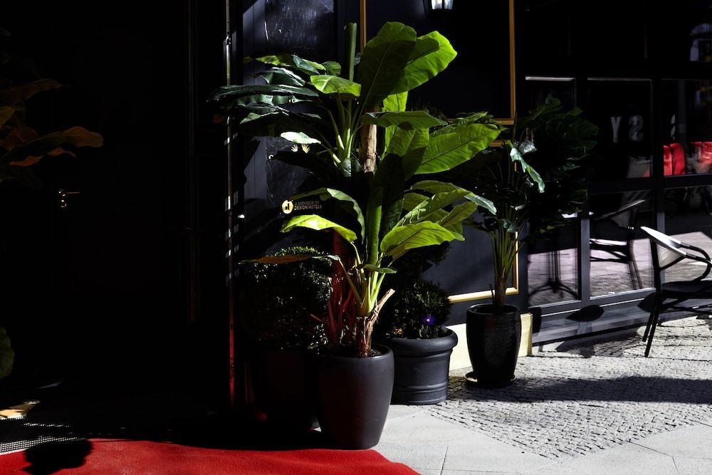 undefined Provocateur, Berlin, a part of Sircle Collection 4