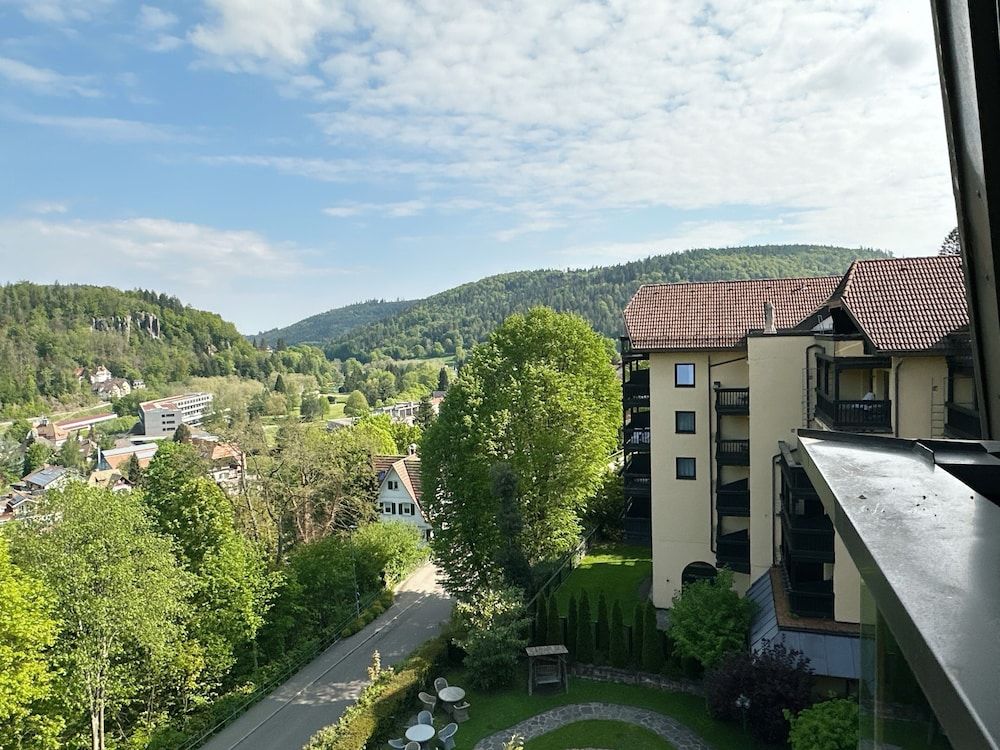 Parkhotel Luise Superior Double Room, 1 Queen Bed 5