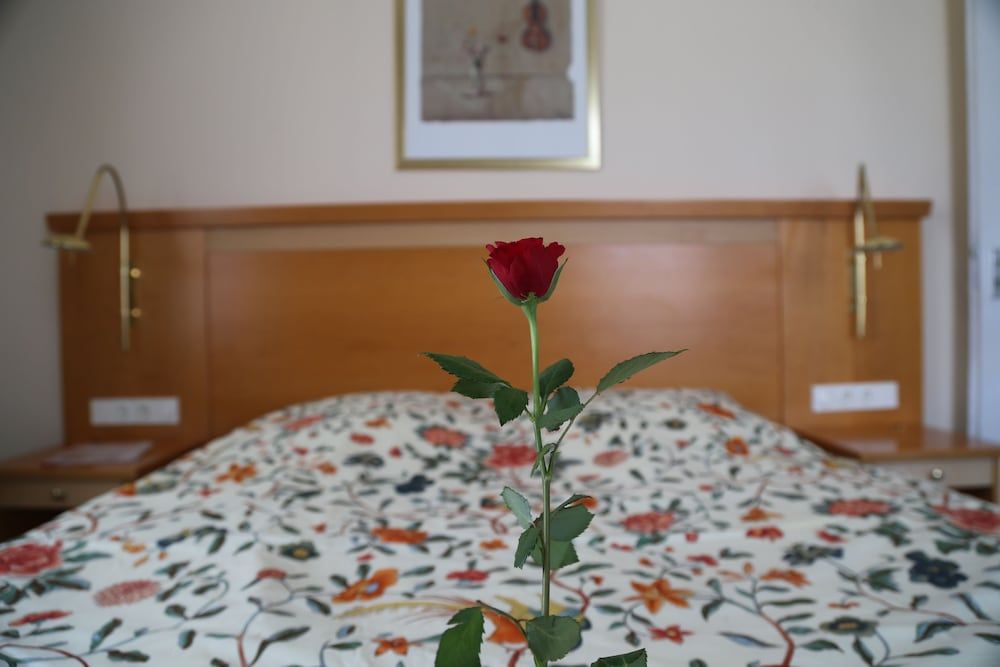 Comfort Single Room