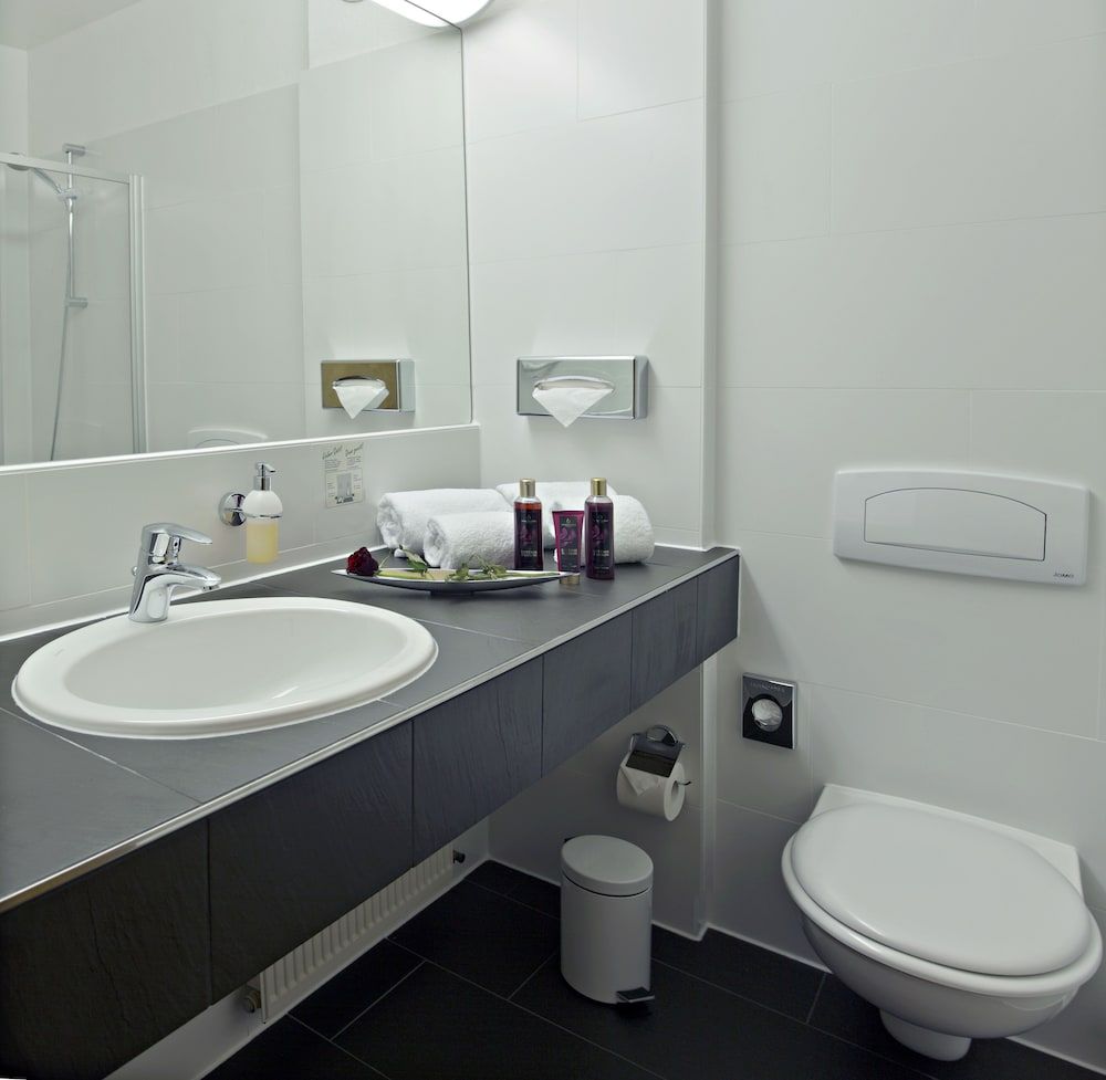 Best Western Hotel Braunschweig Seminarius Superior Room, 1 Double Bed 7