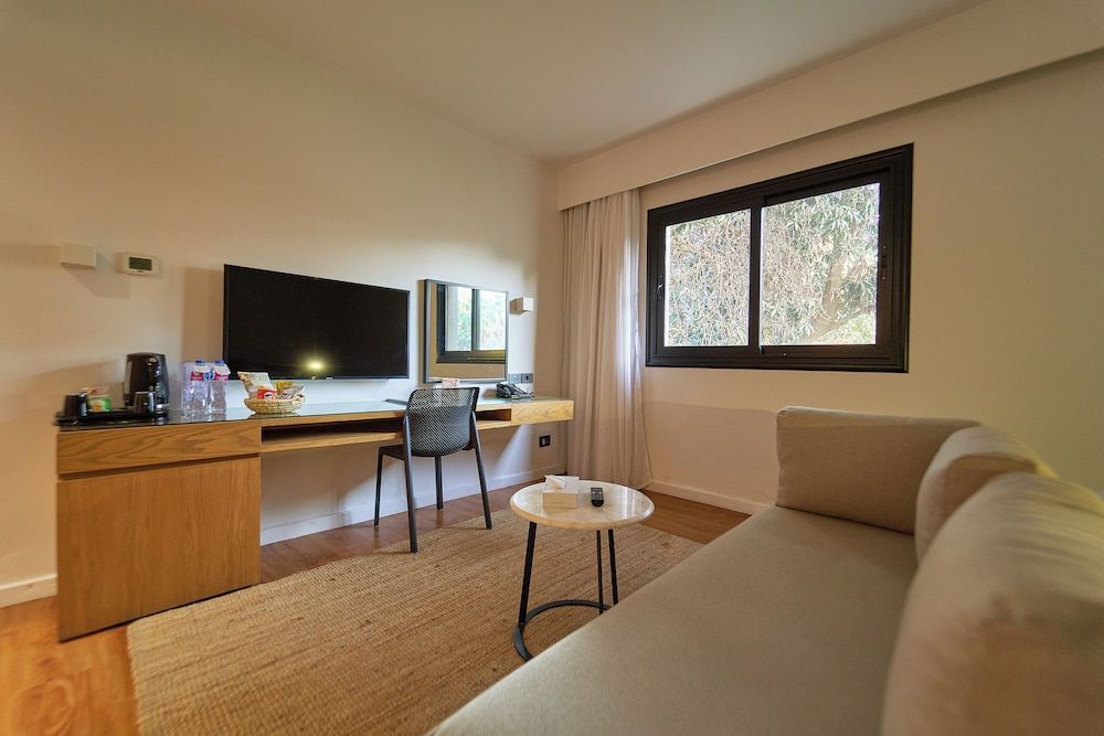 New President Hotel Cairo Superior King Room with Sofa 5
