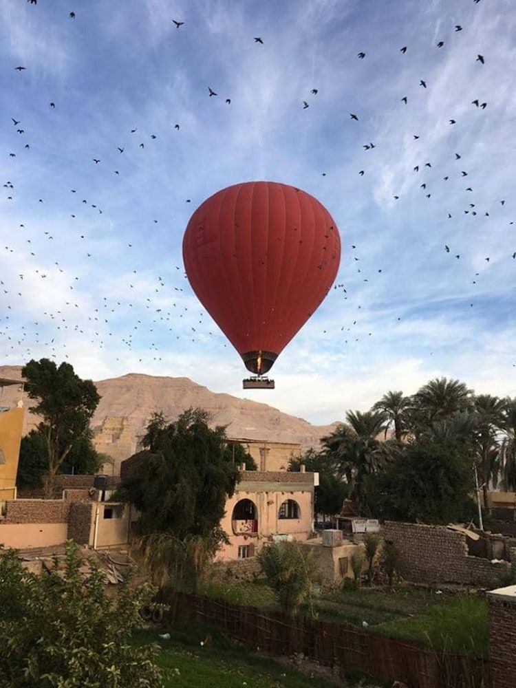 Amenophis Hotel Single Room 5