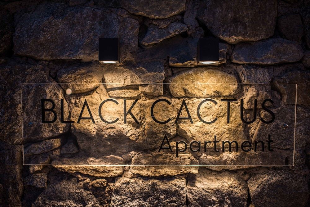 undefined Black Cactus 2