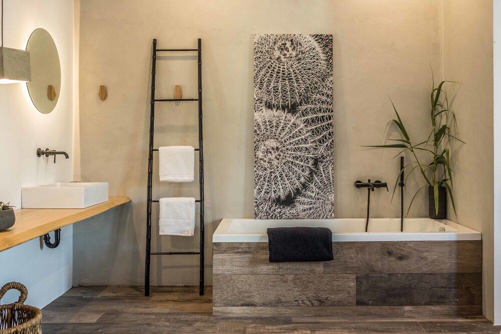 undefined Black Cactus 10
