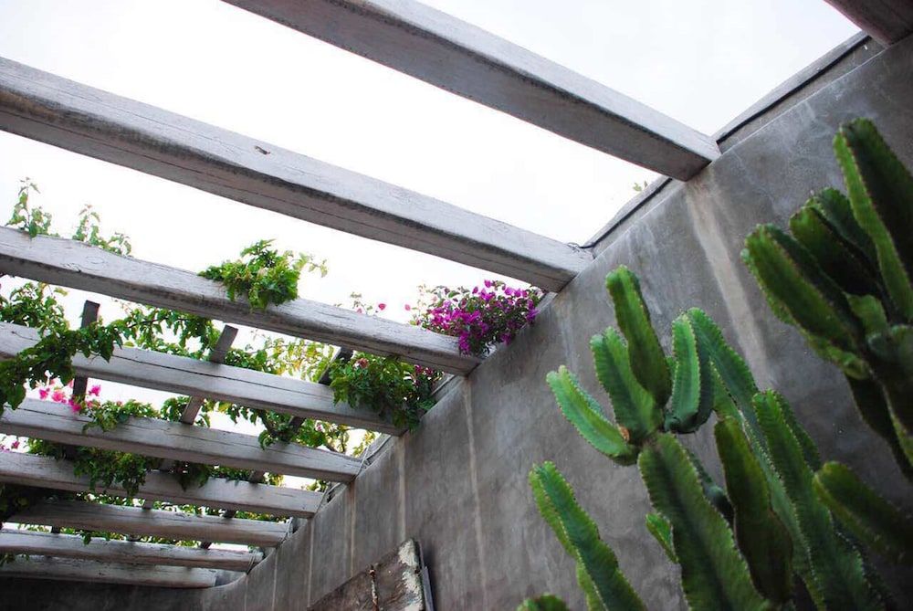 undefined Aletro Cottage Houses 8