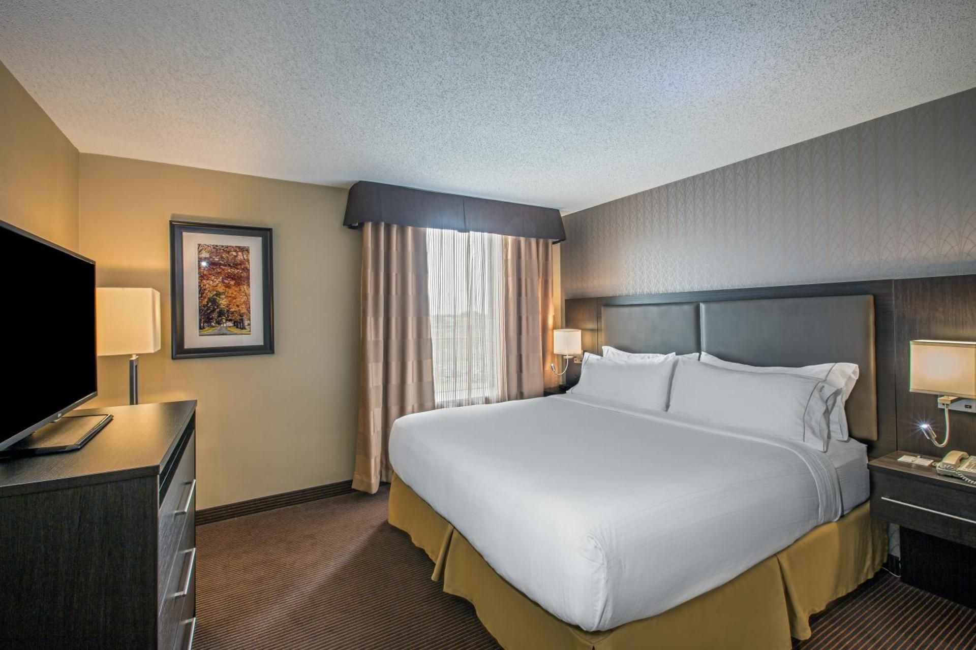 1 Bedroom Suite - Non Smoking