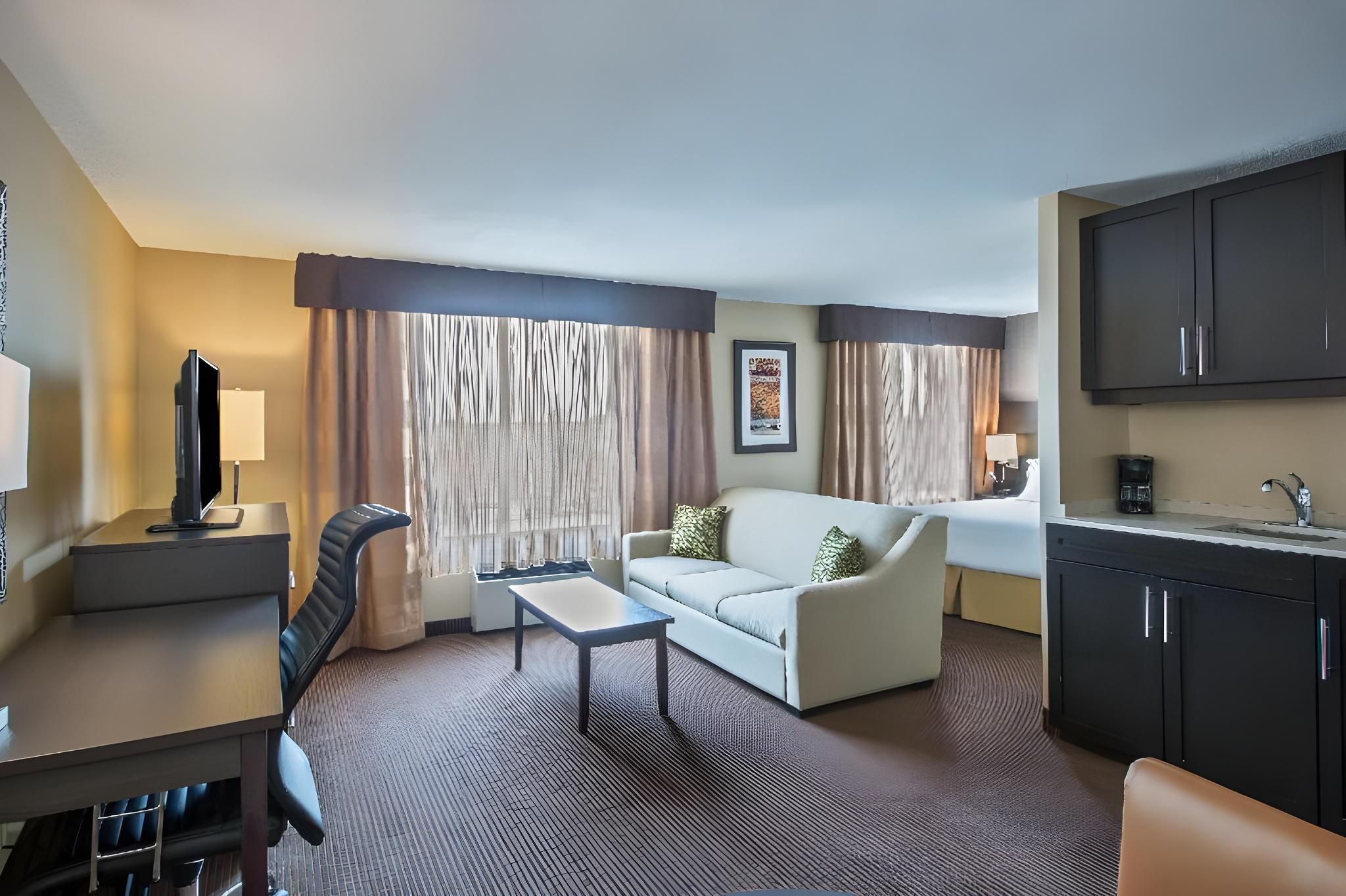 1 King Bed, Suite, Nonsmoking