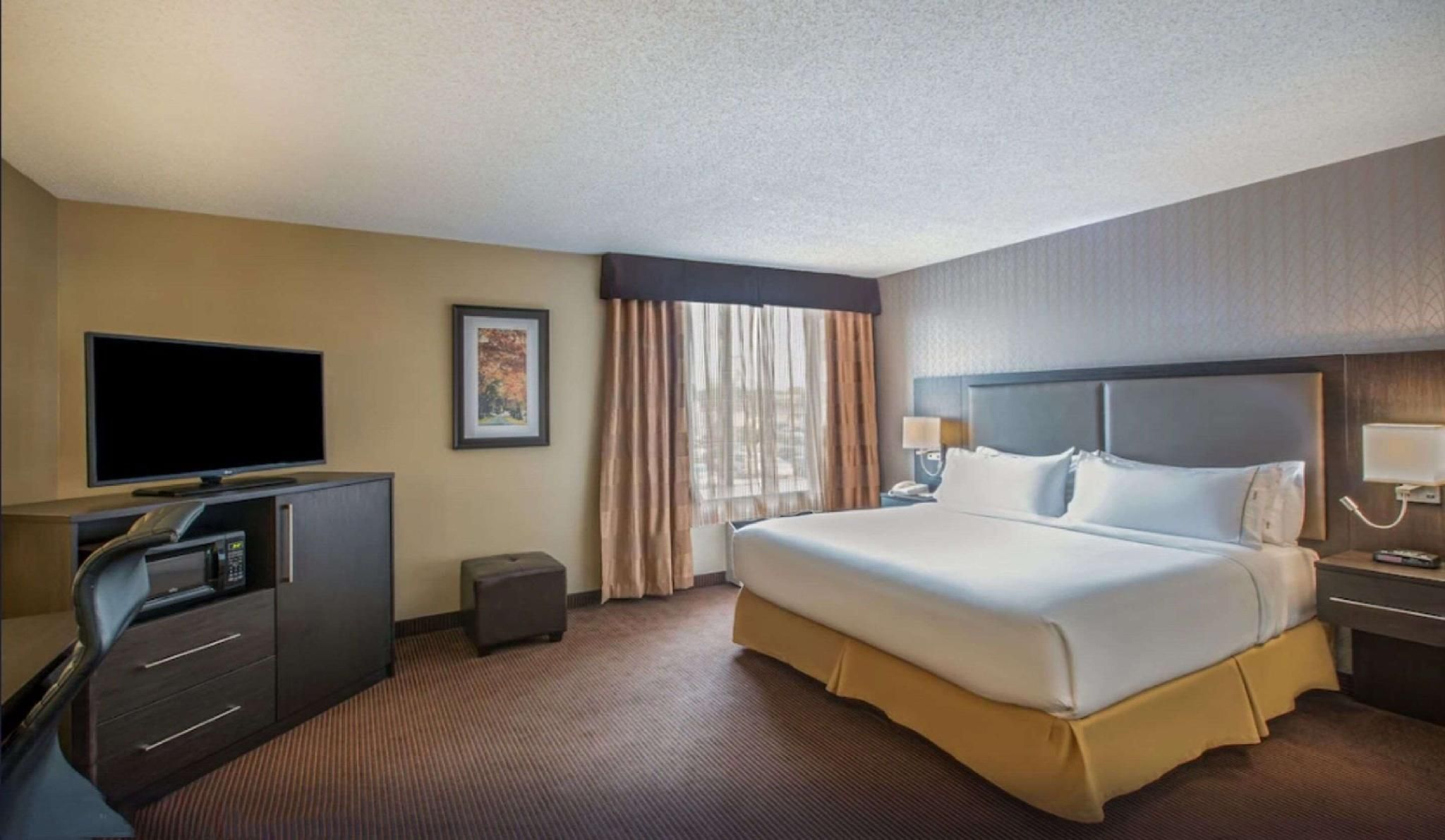 1 King Bed, Suite, Nonsmoking