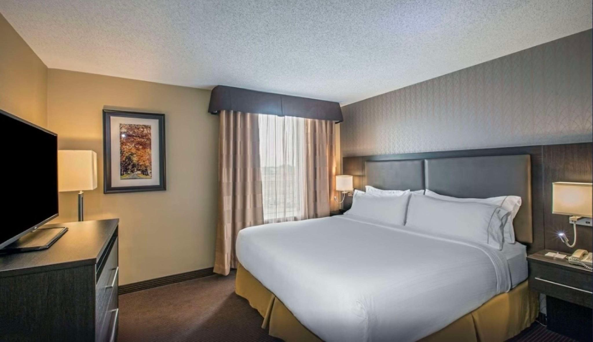 Suite 1 King Bed, Nonsmoking