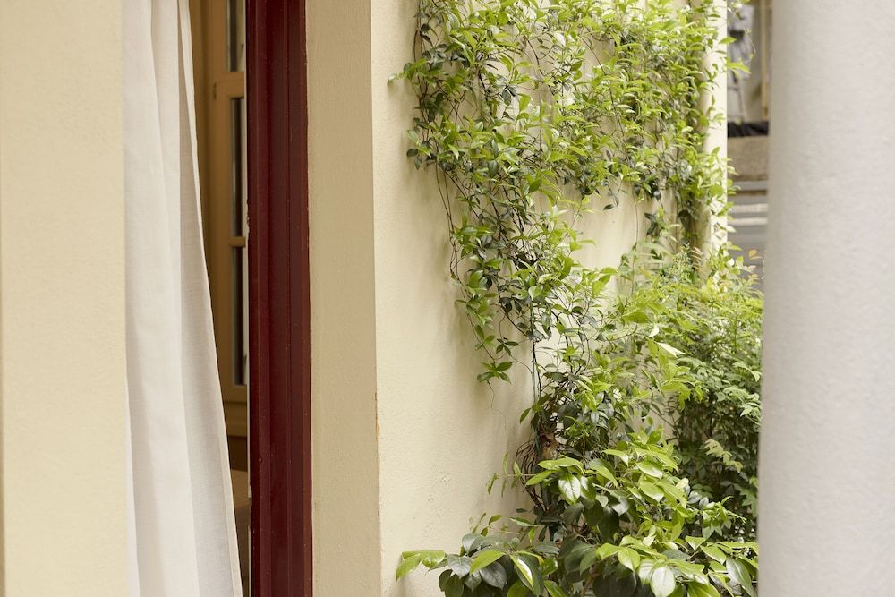 undefined Gatto Perso Luxury Apartments 10