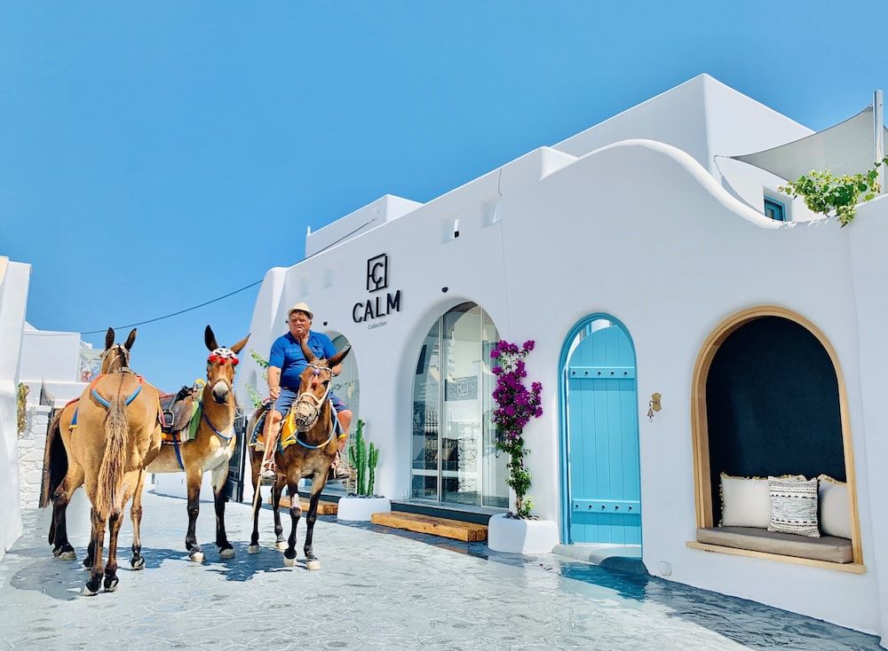 undefined Evgenia Villas & Suites by Calm Collection 3