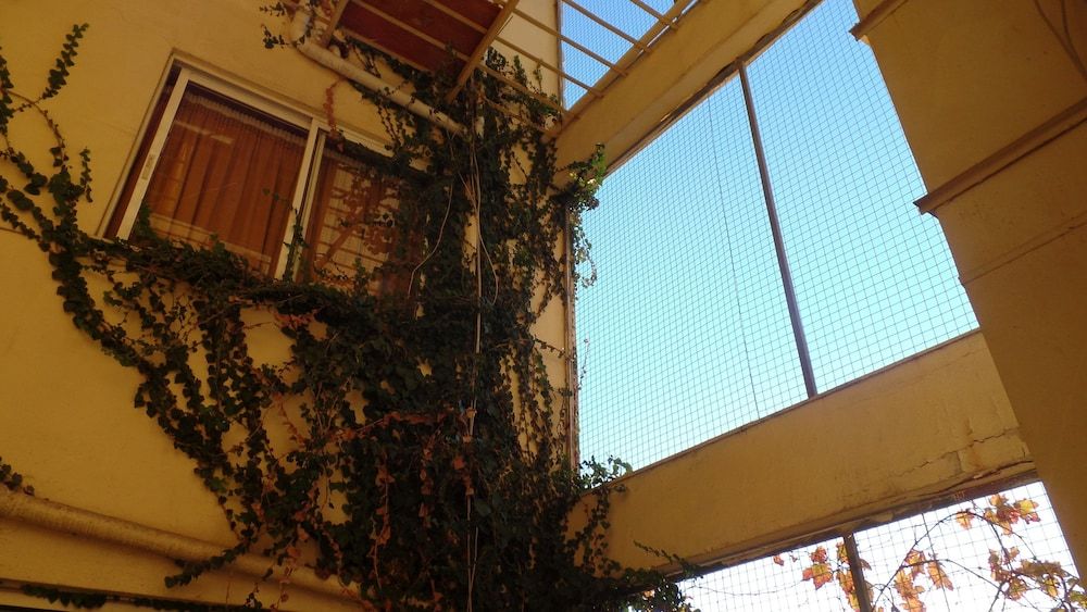 undefined Cavo D'Oro Hotel 4