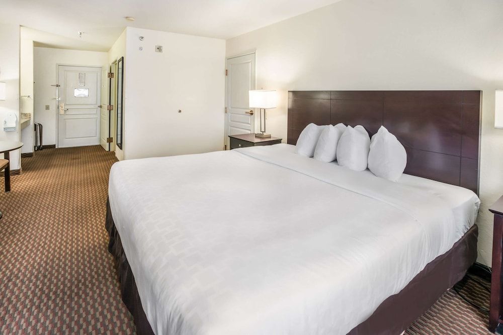 Standard Room, 1 King Bed, Non Smoking