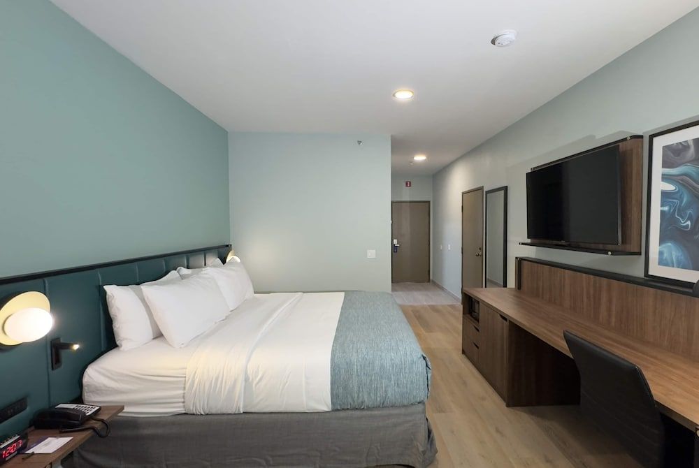 Room, 1 King Bed, Mobility Accessible, Non Smoking (Hearing, Roll-in Shower)