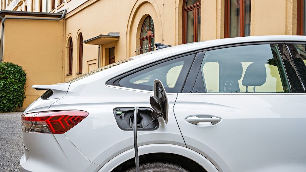 undefined Bayerischer Hof Dresden 8