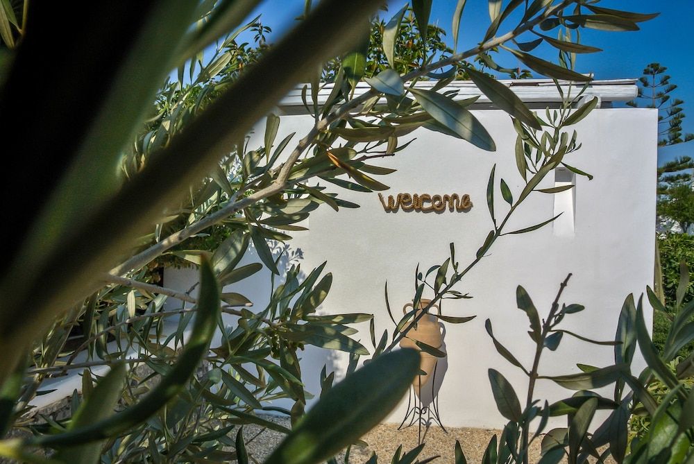 undefined La Stella Stay 6