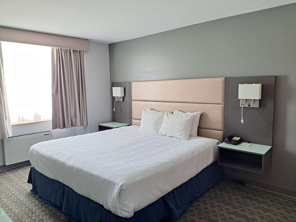 Executive Room, 1 King Bed, Non Smoking (Shower Only)