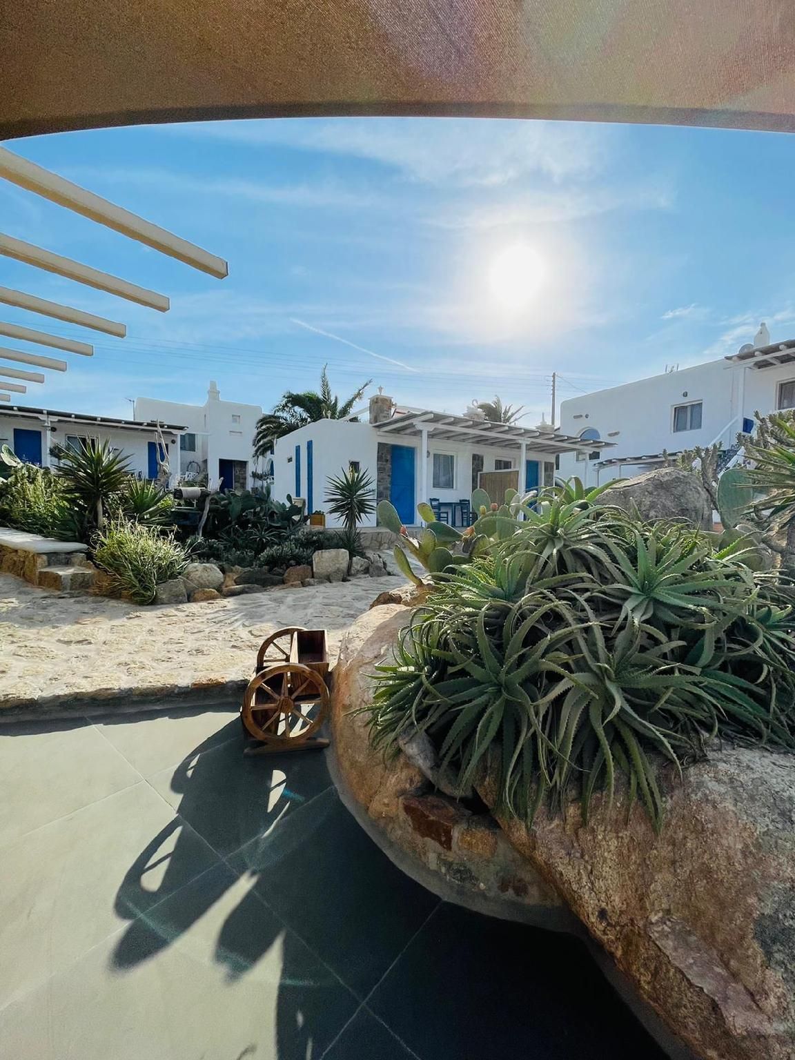 surrounding environment