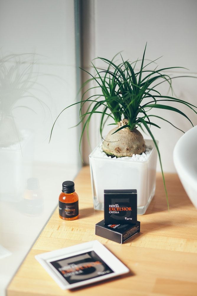 Hôtel Excelsior Opéra Superior Room 11