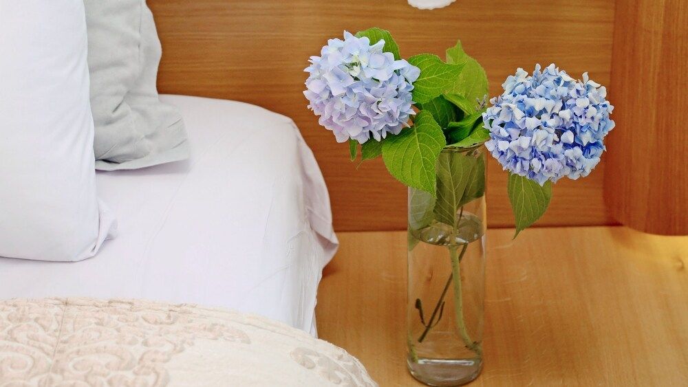 Dilofo Hotel Luxury Suites Deluxe Suite, Fireplace 8