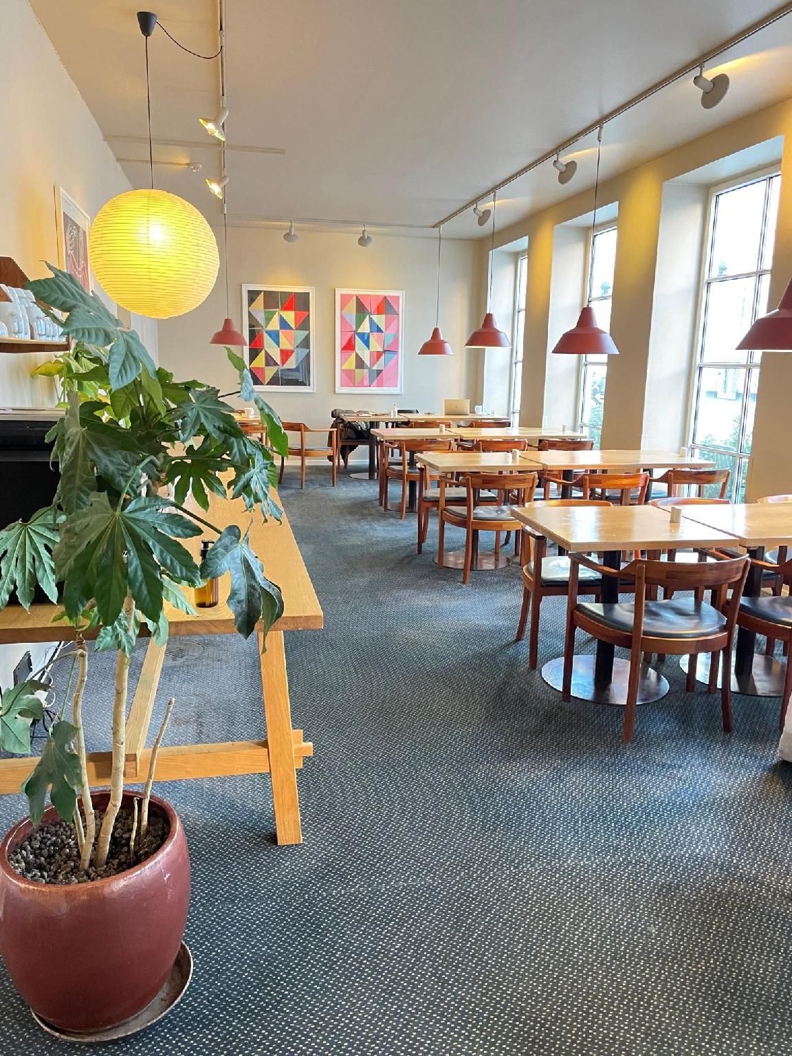 undefined Hotel Petra 10