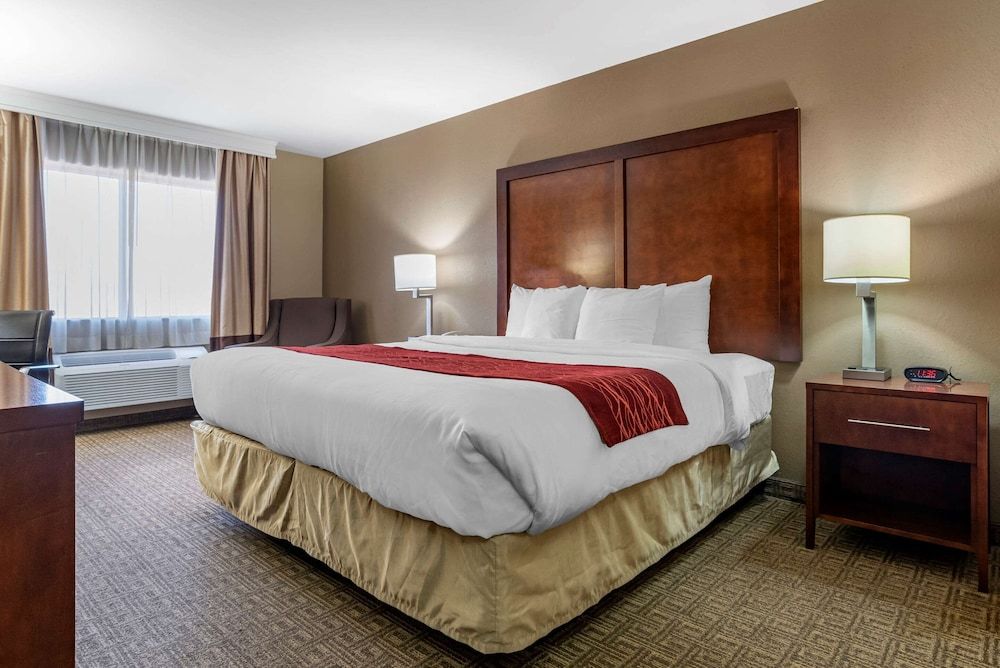 Room, 1 King Bed, Accessible, Non Smoking