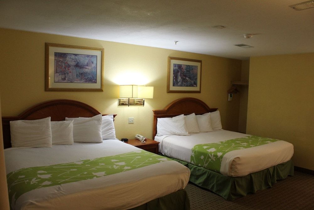 Room, 2 Queen Beds