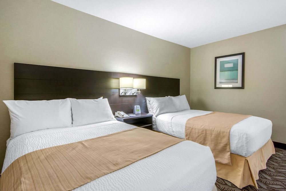 Room, 2 Double Beds, Non Smoking (Pet Friendly)
