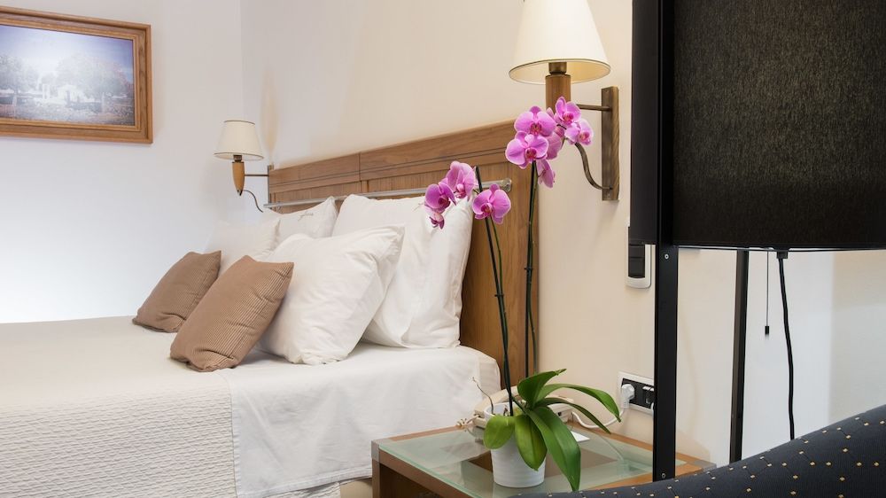 Alexander Beach hotel & Spa Family Room, Garden View, Poolside 5