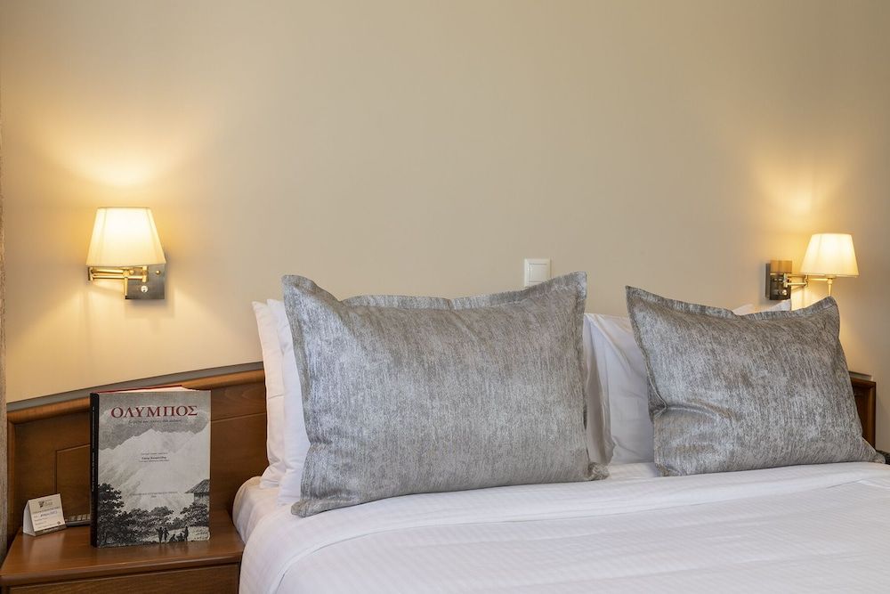 Panoramic Double Room (Olympus View)