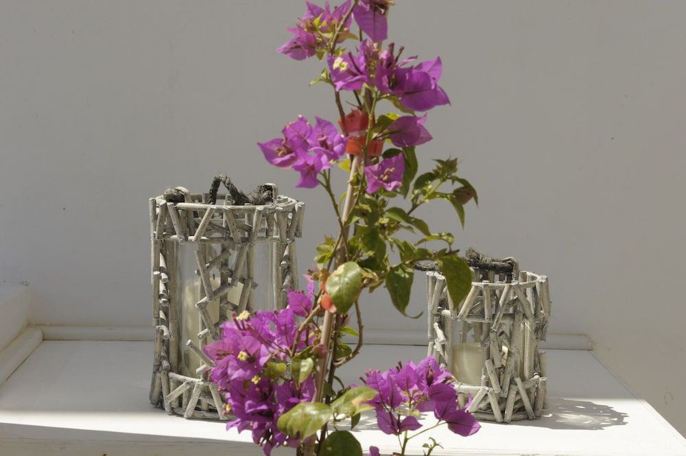 Almyris Standard Room, Terrace 6