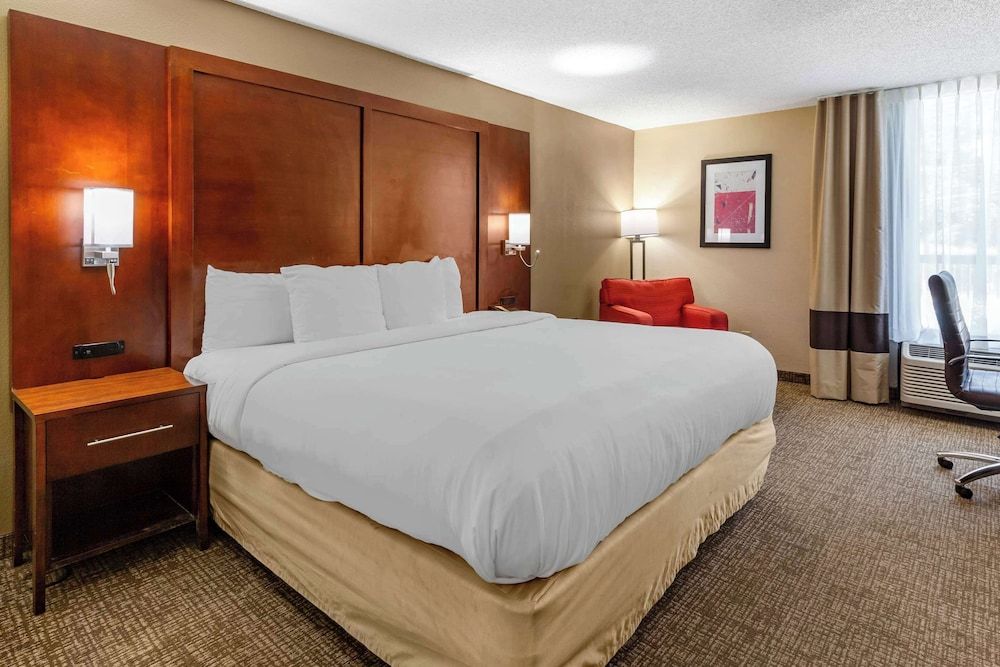 Standard Room, 1 King Bed, Non Smoking