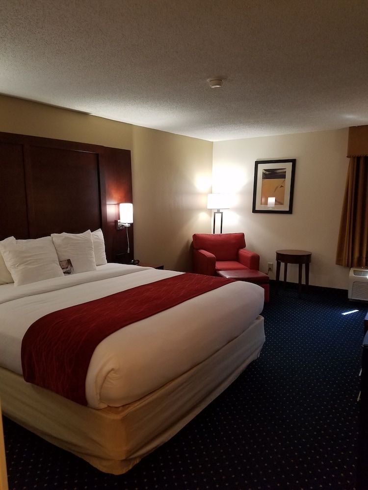 Standard Room, 1 King Bed, Non Smoking