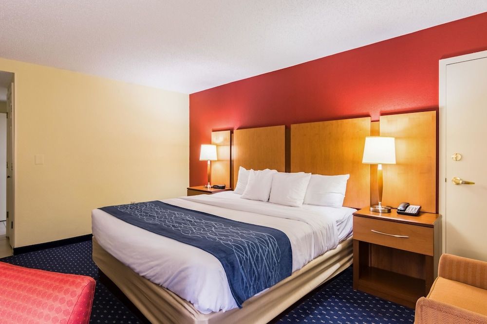 Standard Room, 1 King Bed, Non Smoking
