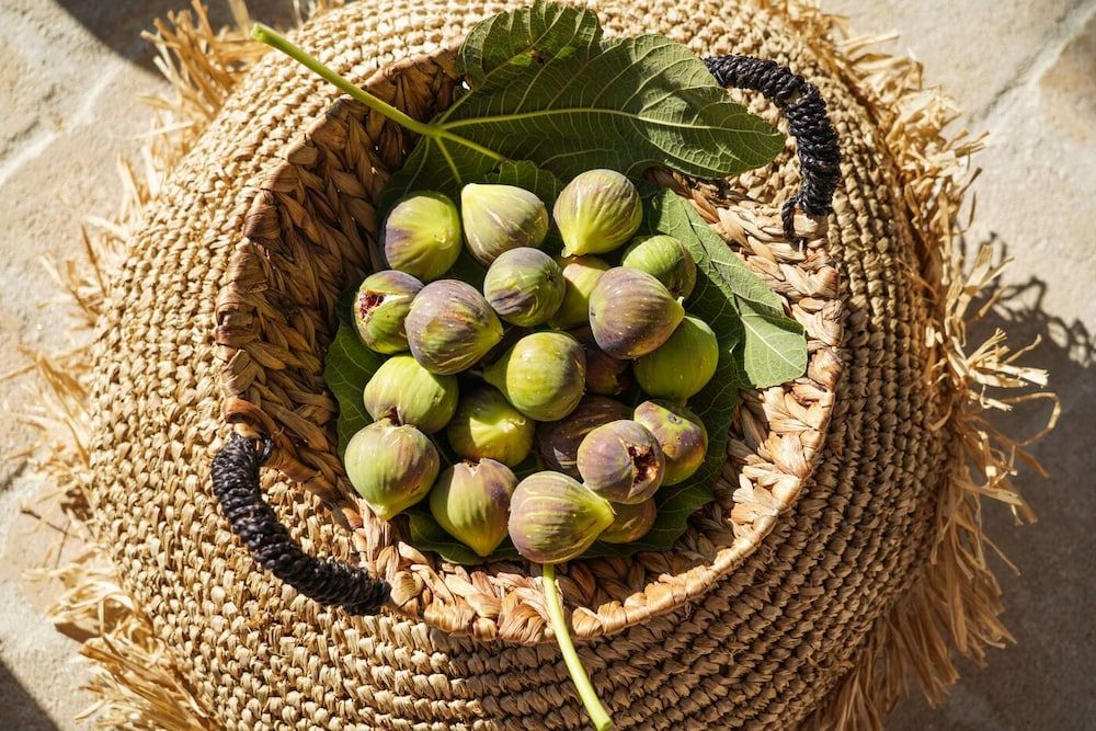 undefined Aegean Pearl Villa 5